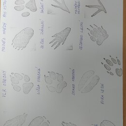 MŠ - Únor, březen 2023